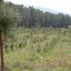 La Xunta exporta a Castilla y León tecnología gallega para la gestión forestal